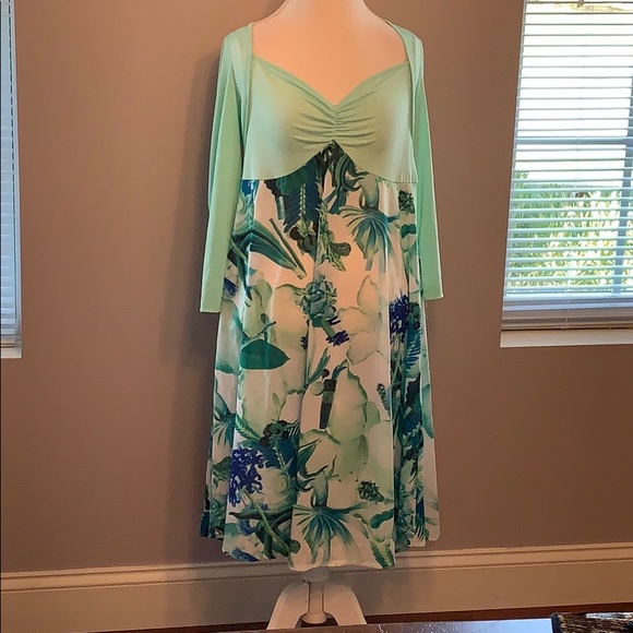 Sheer dress - Picture 1 of 3